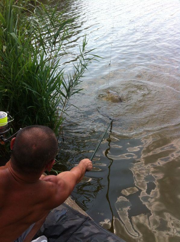 PESCUIT 2014 - img1164.JPG